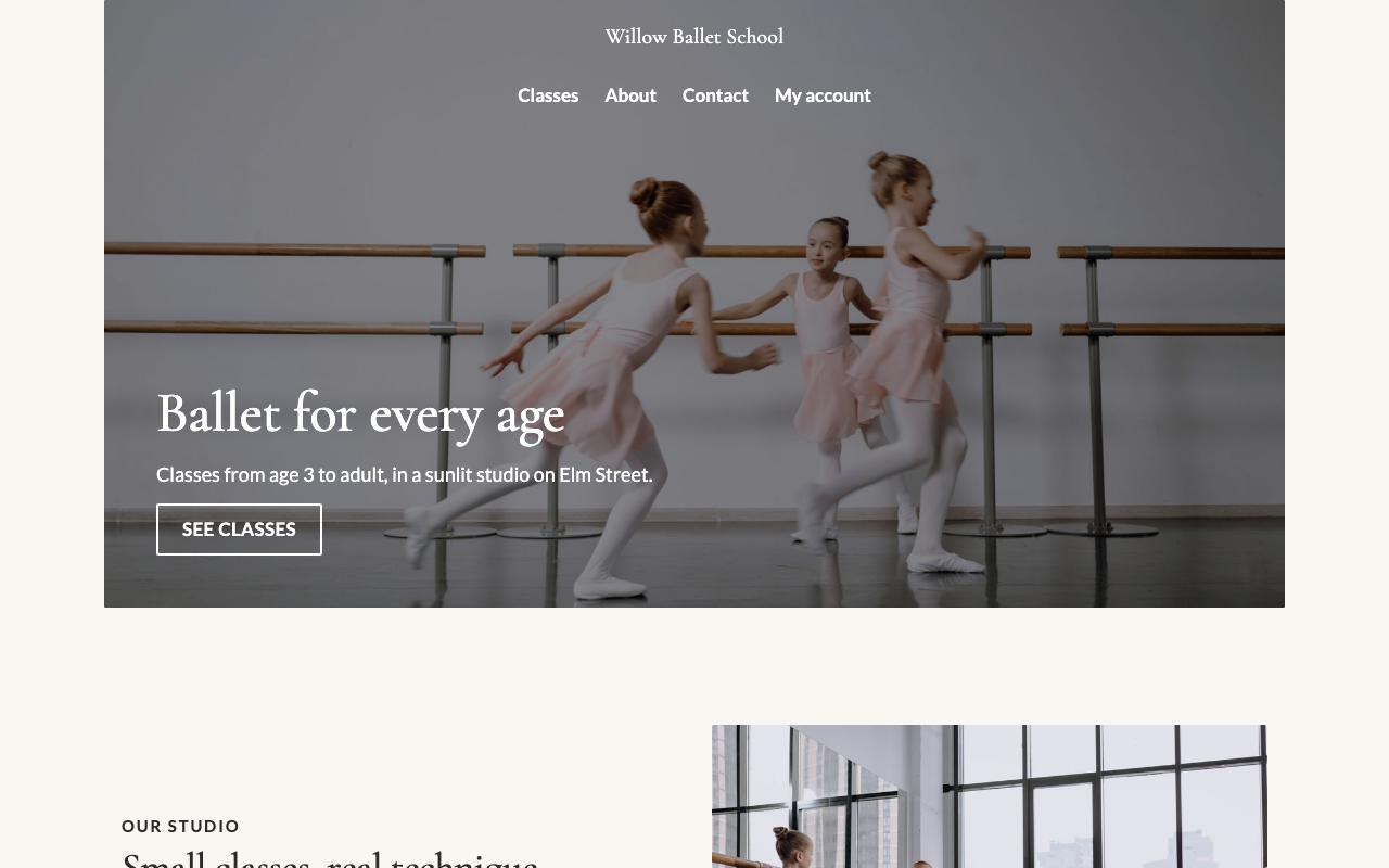Willow Ballet School on a computer